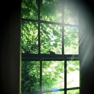 The Morning Sun