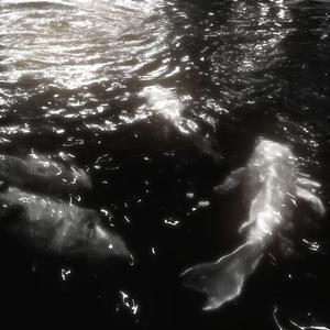 other side (feat. sholoh) (Explicit)