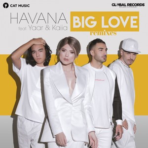 Big Love (Remixes)