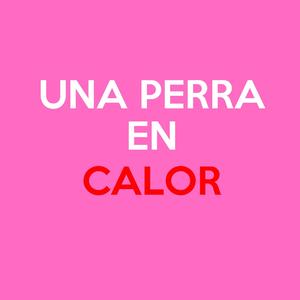 Una Perra En Calor (RKT MIX) [Explicit]