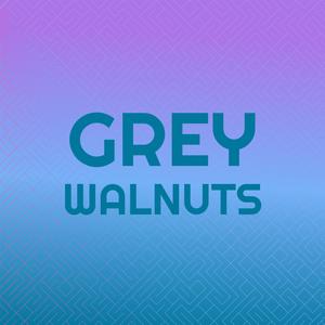 Grey Walnuts