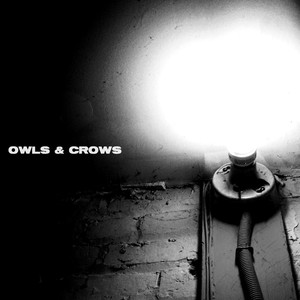 Owls & Crows