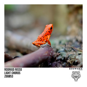 Light Chords (Original Mix)