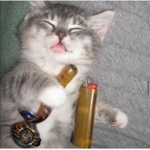 business business (feat. cynicalv) (Explicit)