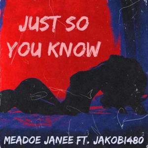 Just So You Know(feat. Jakobi480) (Explicit)