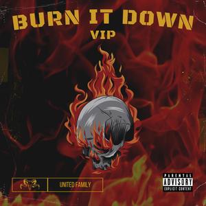 Burn It Down (VIP) (Explicit)