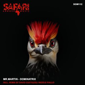 Dominatrix (Original Mix)