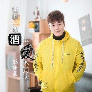 往事一杯酒再爱不回头