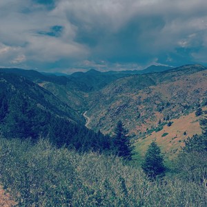 emotional disaster (feat. jstnprks) (Explicit)