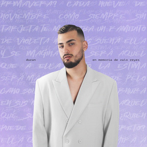 Un Ramito De Violetas