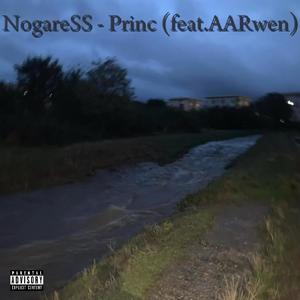 Princ (feat. AARwen) [Explicit]