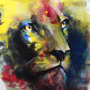 Let the Night Take Us