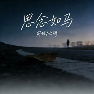 思念如马 (对唱版)