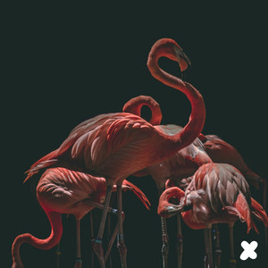 Ethnic Disco (Original Mix)