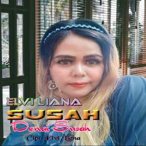 Susah Denai Susah