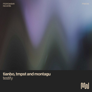 Testify (Extended Mix)