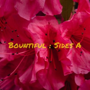 Bountiful : Side A (Explicit)