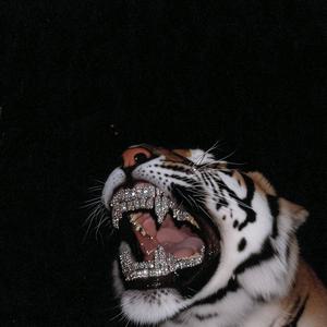 Ryda Gang (Explicit)