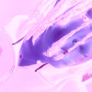 let you up (death2mxnclr) (Explicit)