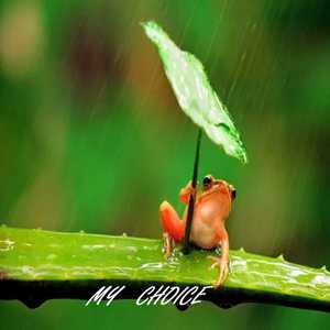 My Choice