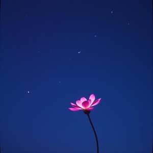 Soft Night