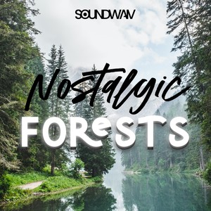 Nostalgic Forests