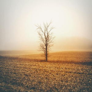 宠坏 (Single Version)