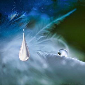 No More Tears