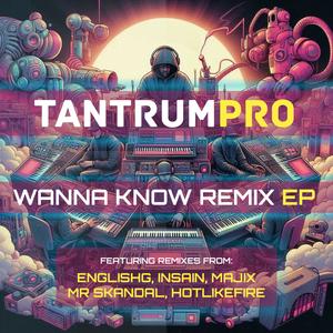 Wanna Know (InSain Remix)