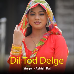 Dil Tod Delge