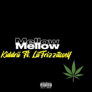 Mellow (feat. LilFrizzItsSelf) [Explicit]