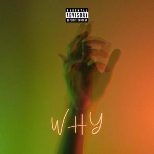 Why (Explicit)