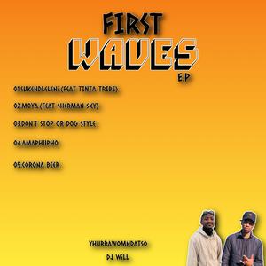 Suka Endleleni (feat. Dj Will & Tinta Tribe|Radio Edit)