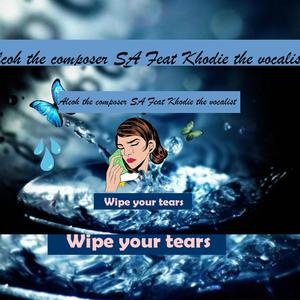 Wipe your tears (feat. Khodie the vocalist)