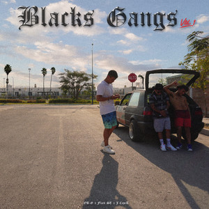 Blacks Gangs Vol.1 (Explicit)