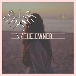 The Owner