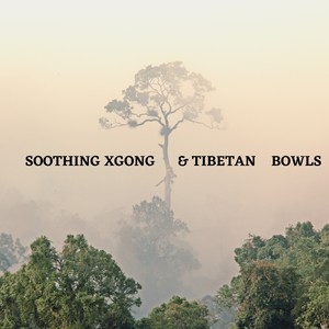 Soothing Xgong & Tibetan Bowls