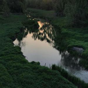 Intrusive Thoughts (Shiloh Remix|Explicit)