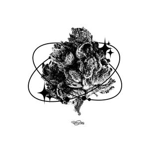 MIDS(feat. Indigoendo) (Explicit)