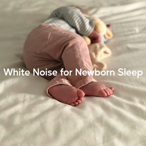 All Night Newborn Sleep