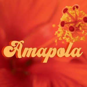 Amapola