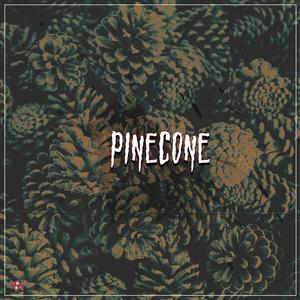 Pinecone