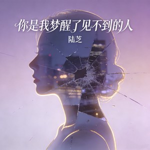你是我梦醒了见不到的人 (r&b版)封面