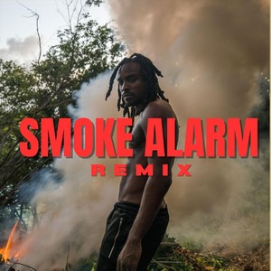 Dynamite - Smoke Alarm (Remix)