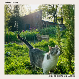 The Cat And The Moon