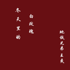 冬天里的白玫瑰 (DJ何鹏版)