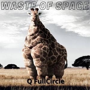 Waste Of Space (Explicit)
