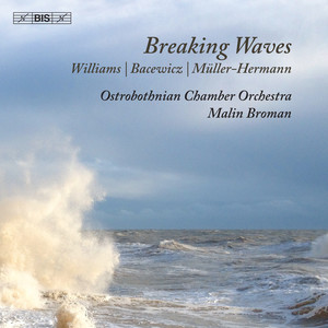 String Quartet No. 4 (Arr. for String Orchestra by Marijn van Prooijen) - III. [Allegro giocoso]
