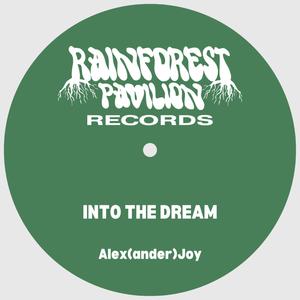 INTO THE DREAM