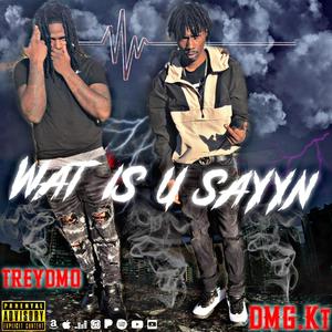 Wat Is U Sayyn (feat. TreyDmo) [Explicit]